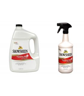 shampoing sec stain master