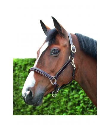 Licol en cuir working collection de chez Dy'on