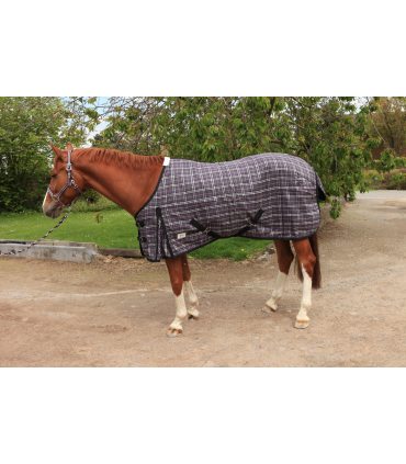 Chemise de box 0 GR -  JMR violet pour shetland