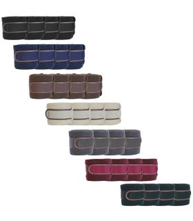 Bandes polaires New Style - Kentucky
