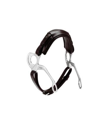 Hackamore - Stübben