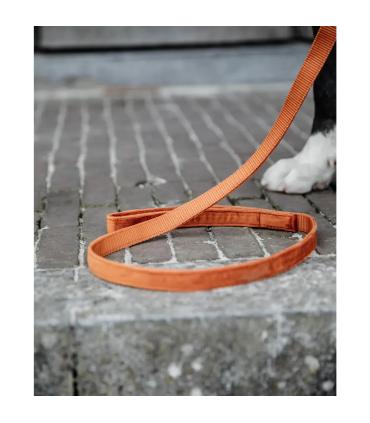 Laisse pour chien Velvet 120cm largeur 1,7cm - Kentucky