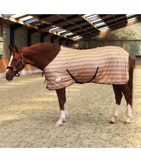 Chemise anti-mouches soft  pour shetland