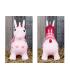 Ballon sauteur Licorne - Harry's Horse
