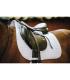 Tapis de selle mixte Fishbone Blanc - Kentucky