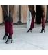 Bandes polaires Velvet - Bordeaux - Kentucky