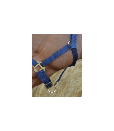 Licol nylon RIDING WORLD