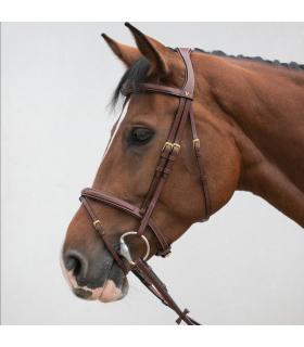 Bridon classique – confort et stabilité pour chevaux calmes