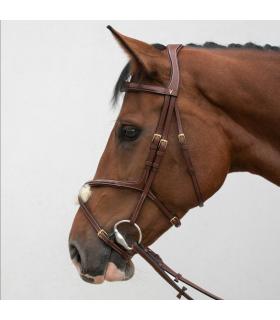Bridon crossline avec muserolle mexicaine - HVN