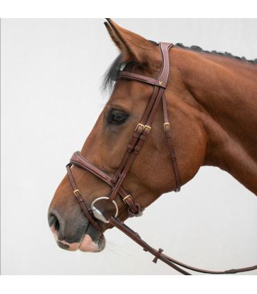 Bridon ergonomique HVM pour chevaux sensibles et jeunes chevaux