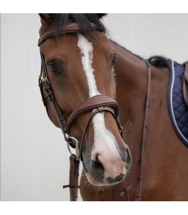 Bridon ergonomique HVM pour chevaux sensibles et jeunes chevaux